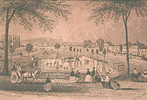 Peckham Rye, Surrey