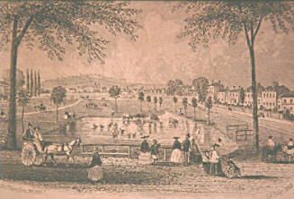 Peckham Rye, Surrey