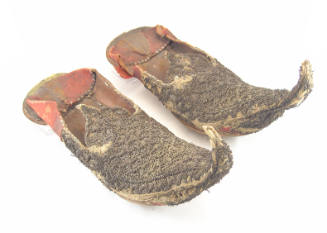 Shoe
