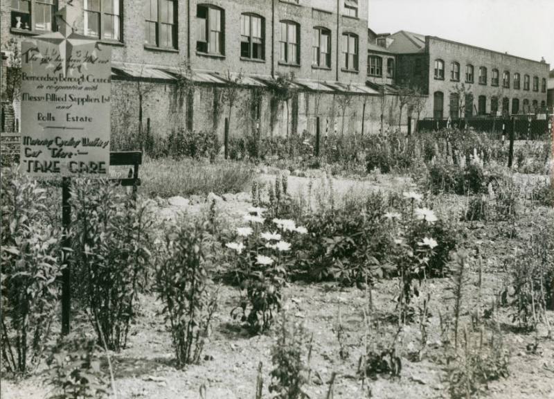 Rouel Road, 1951