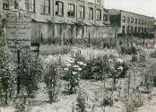Rouel Road, 1951