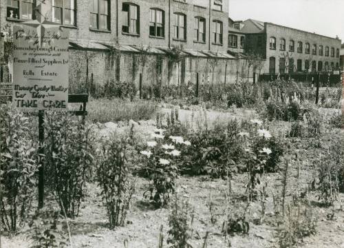 Rouel Road, 1951