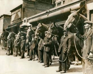 Horses, 1953