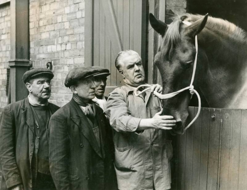 Horses, 1953