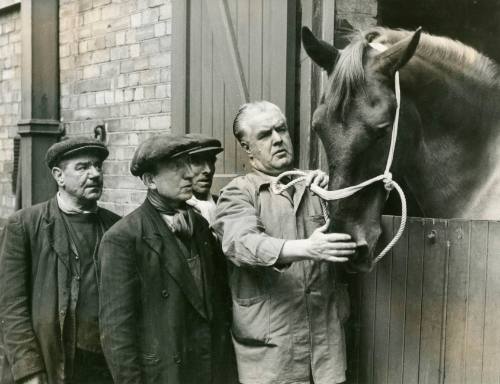 Horses, 1953