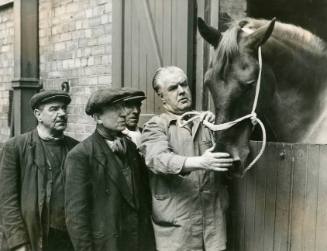 Horses, 1953