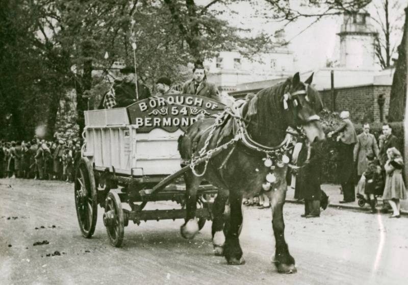 Horses
