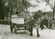 Horses