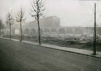 Shuttleworth's Garden, 1950