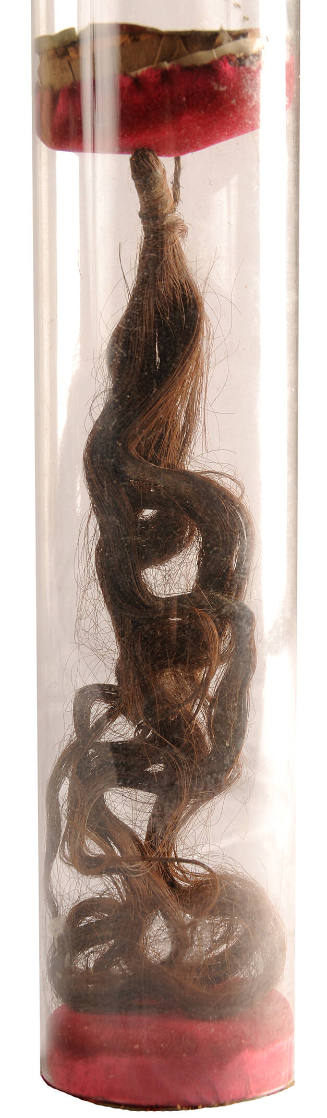 Human remains