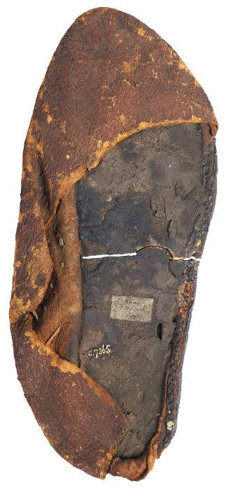 Shoe