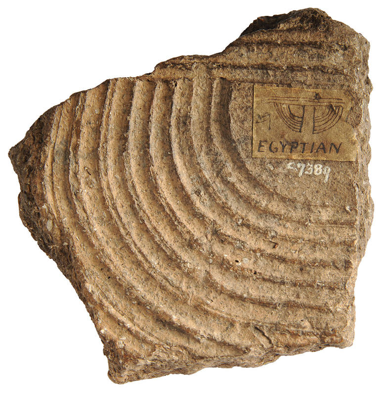 Fragment