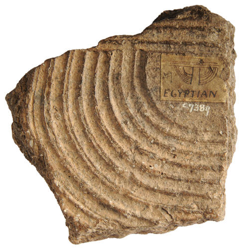 Fragment