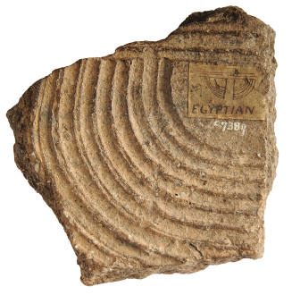 Fragment