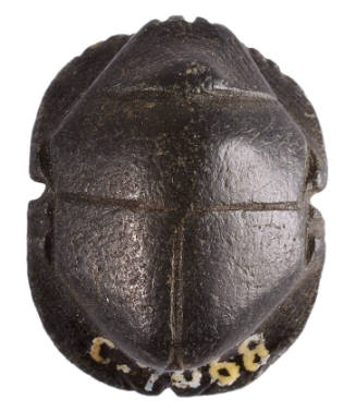 Scarab
