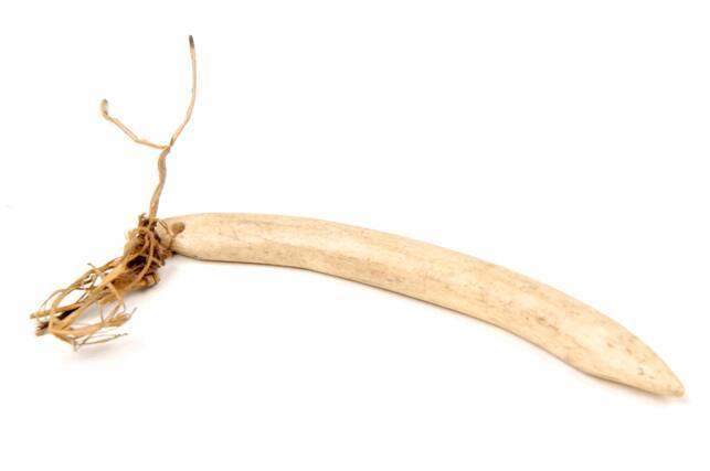 Cloak-Pin