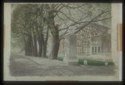 Champion Hill, SE5