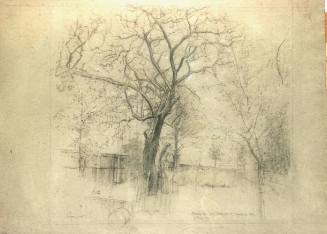 Catalpa Tree, Dog Kennel Hill