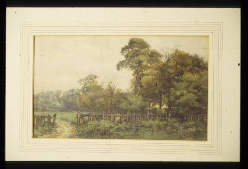 Fields on Denmark Hill