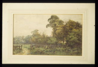 Fields on Denmark Hill