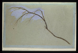 Study of a Twig Gathered in Croxted Lane