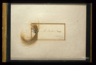 Lock of Ruskin's hair