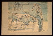 Bullfight