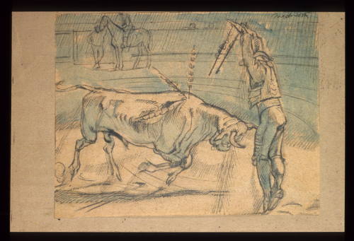 Bullfight