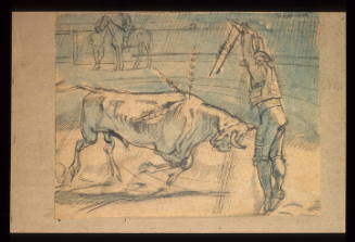 Bullfight