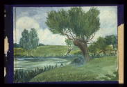 Willows at River Bank