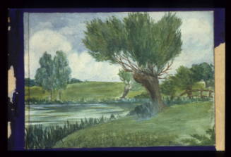 Willows at River Bank