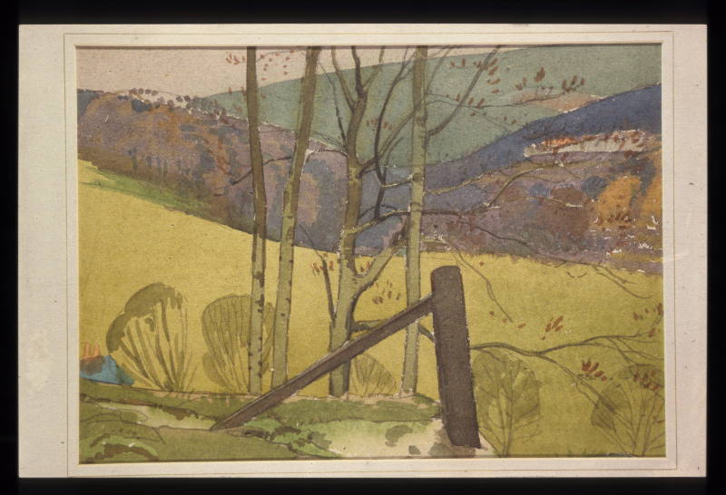 Downland Scene