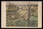Dead Tree and Cornfields