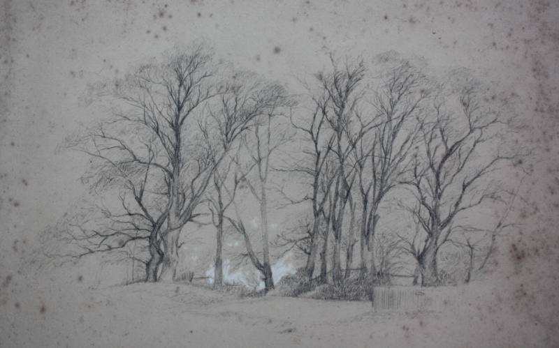 Trees, "Frierne" (sic Friern) Farm, Lordship Lane