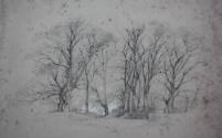 Trees, "Frierne" (sic Friern) Farm, Lordship Lane