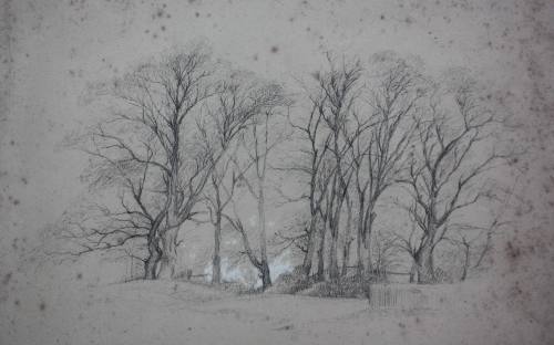 Trees, "Frierne" (sic Friern) Farm, Lordship Lane