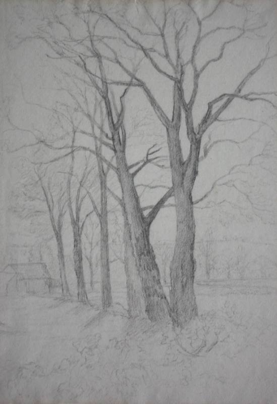 Trees