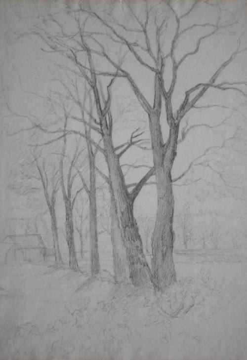 Trees