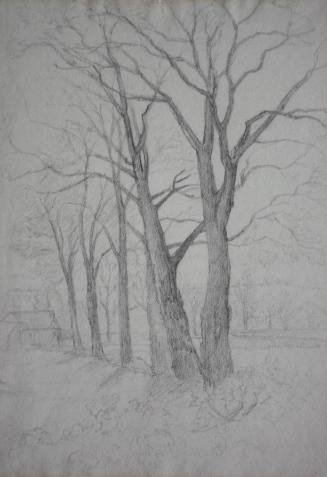 Trees