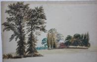 Brockley Fields 1850