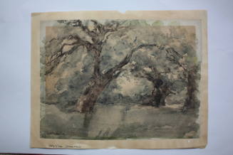 Dulwich Woods, Study of Trees