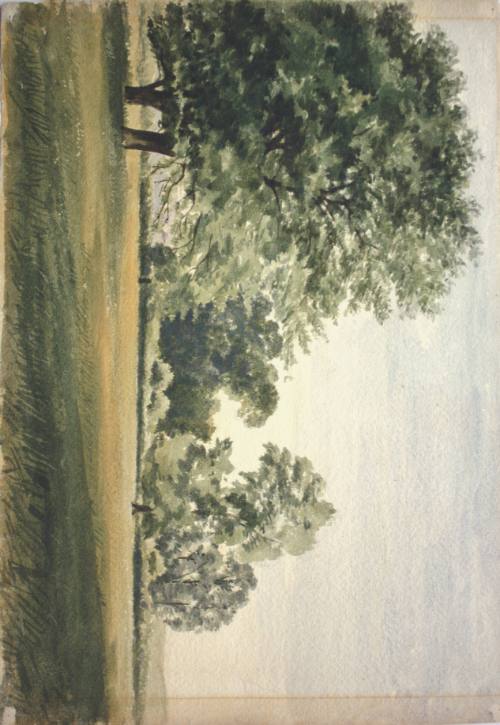 Brockley, The Fields