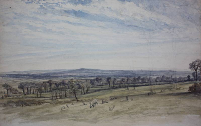 Brockley, View South Across Fields