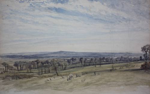 Brockley, View South Across Fields