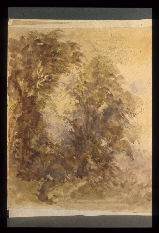Camberwell, Study of Trees