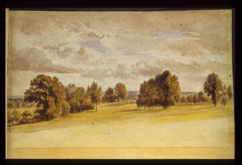 Brockley Fields, near the Ravensbourne