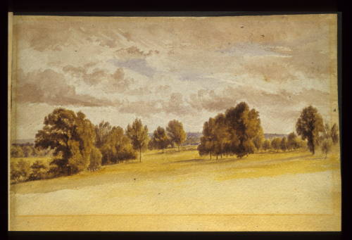 Brockley Fields, near the Ravensbourne