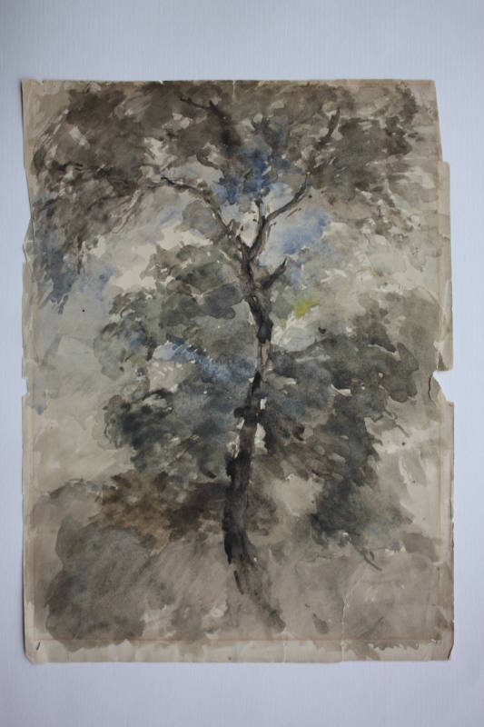 Camberwell, Study of Trees