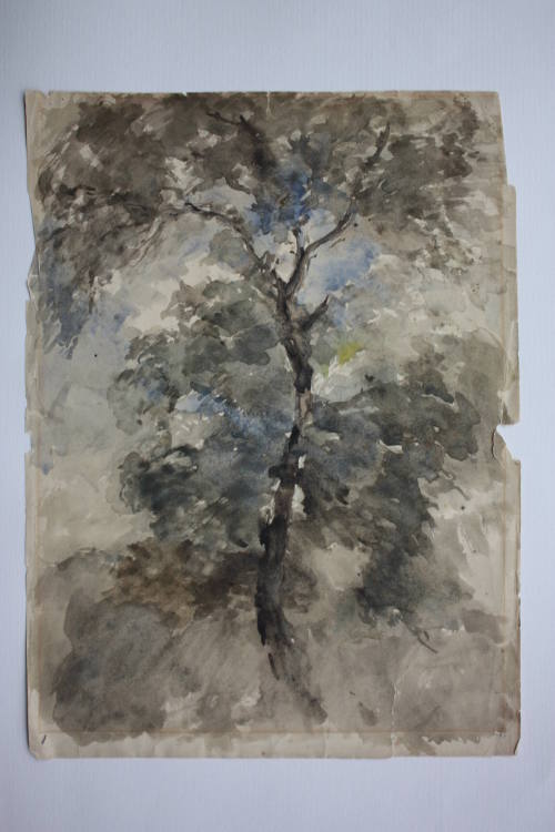 Camberwell, Study of Trees
