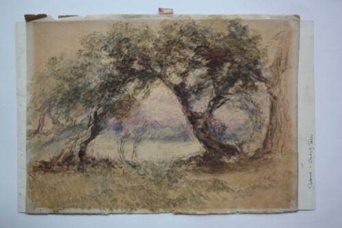 Dulwich, Study of Trees